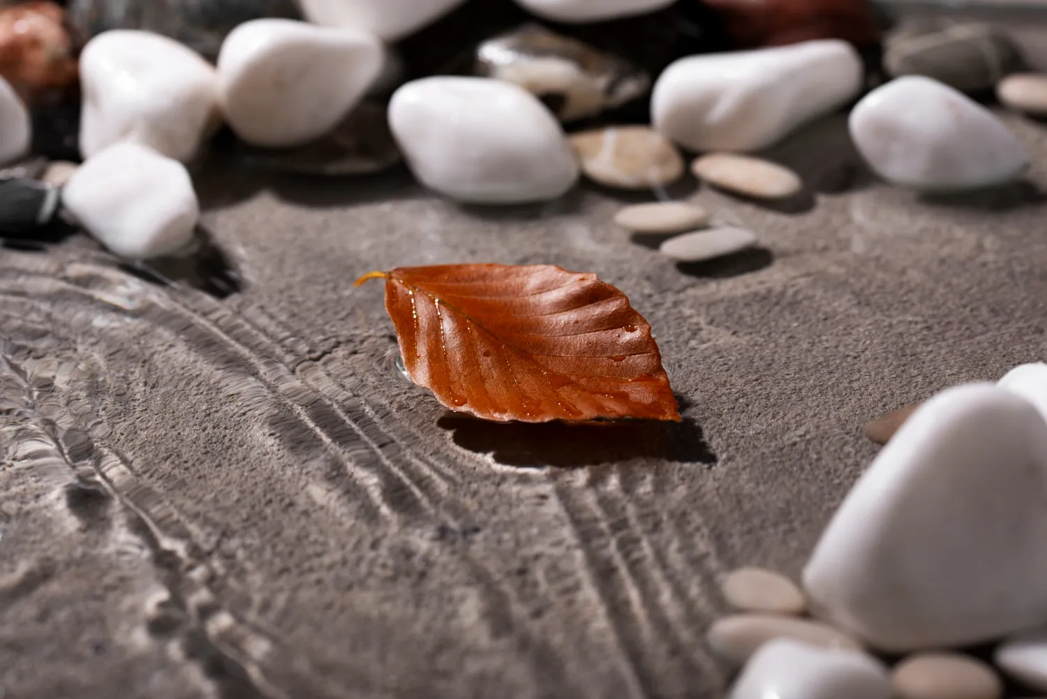 Hoja marrón sobre una superficie de arena con piedras blancas y grises alrededor, creando un ambiente natural y sereno.